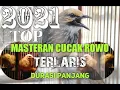 Download Lagu MASTERAN CUCAK ROWO 8 JAM NONSTOP