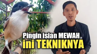 Download Teknik isian materi CENDET yang tepat supaya isian mewah MP3