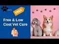 How To Get Free Or Low Cost Veterinary Care 24 Different Resources Vlog
