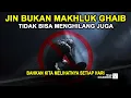Download Lagu KITA MELIHAT JIN SETIAP HARI..! Mereka Bukan Makhluk Gaib, Tidak Bisa Menghilang, Tidak ada Alam Jin