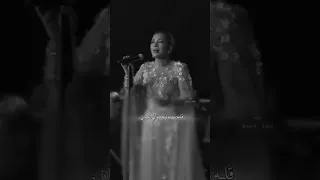 وسط هذا الضجيج ظهر انسان اصالة نصري 