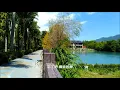 愛 在 深 秋  (譚詠麟) (高畫質 高音質)
