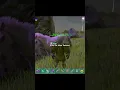 Unicorn Tame