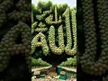 Download Lagu Naat e shareef 2000 view