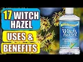 17 Surprising Witch Hazel Benefits Uses HEALTH BEAUTY CLEANING
