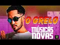 Download Lagu O GRELO DA SERESTA - CD VOL 02 - É O GRELO CD 2025 - MÚSICAS NOVA JANEIRO 2K25 - O GRELO DA SERESTA