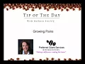 Business Tip of The Day #43 -  Growing Pains