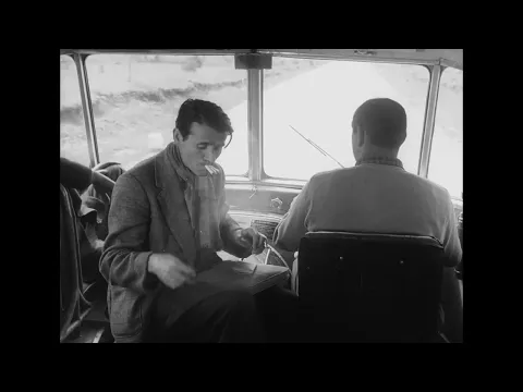 Lemons & Oranges - Official Trailer
