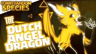 Download Furry Fandom Species: The Dutch Angel Dragon (ft. Telephone) MP3