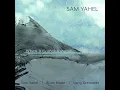 When It Comes Around (feat. Brian Blade & Larry Grenadier) - Sam Yahel