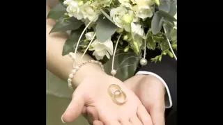 حلم الليالي Wmv 