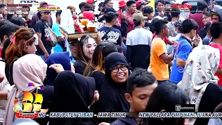 Download Nilai Sehat - Cak Santoso New Pallapa Live Sedekah Laut Palang Tuban || Ramayana Audio MP3