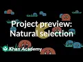 Project Natural selection Intro to CS - Python Khan Academy