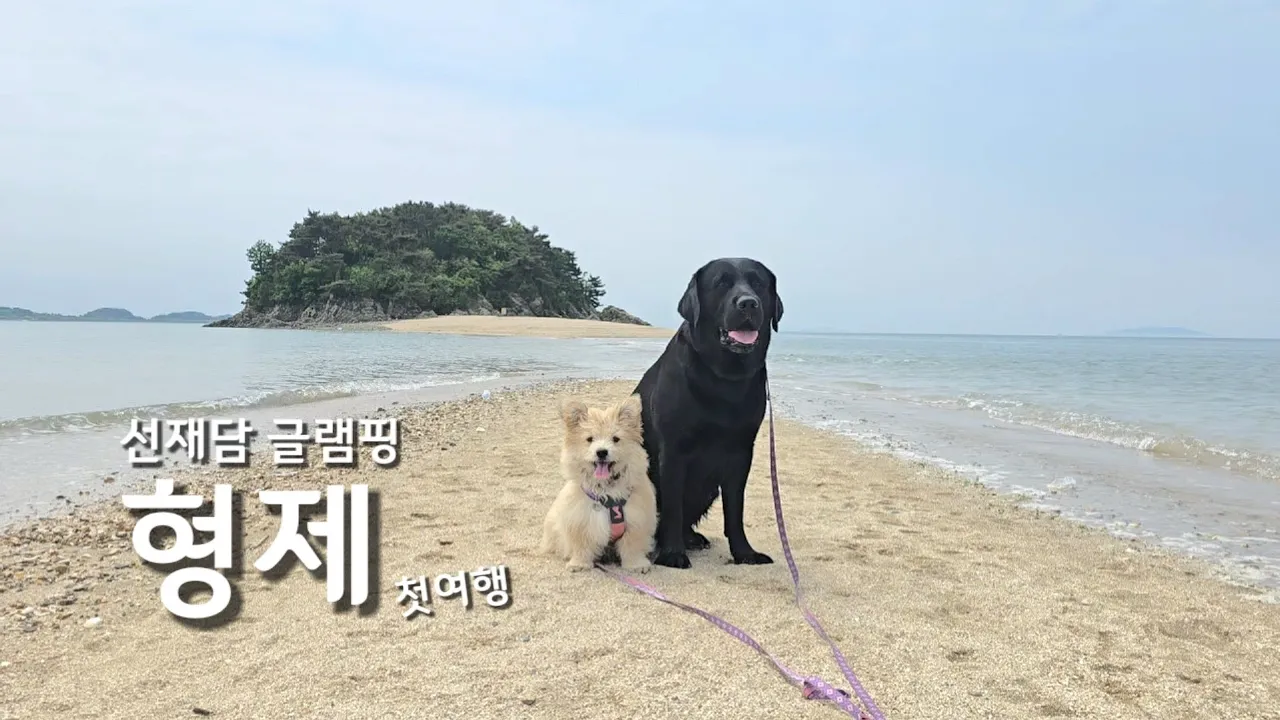 형제들의 첫번째 여행 / 선재도 선재담 글램핑장 썸네일