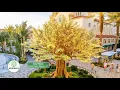 International Greenscapes The Art and Science of Commercial Biophilic Design