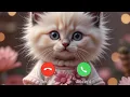 Download Lagu Beauty calling 🤙🏻✨ #ringtone #foryou #yt #calling #cute #trending #youtubeshorts #viral #yt #best