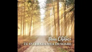 puiu chibici tu e ti fericirea mea tu e ti raza mea de soare 
