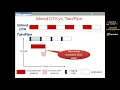 USENIX Security 15 - TaintPipe Pipelined Symbolic Taint Analysis