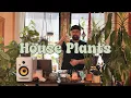 Upbeat Disco Tech House Mix Set | Workout Playlist | House Plants (Volume Four)
