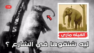 ليه الفيل ده اتحاكم واتشنق قدام ٢٥٠٠ شخص 