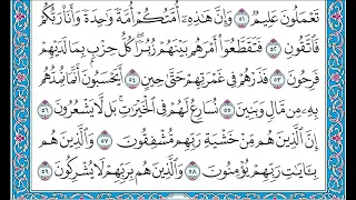 القران كامل بصوت الشيخ الشيخ فارس عباد الجزء الثامن عشر 