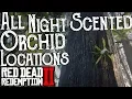 Red Dead Redemption 2 - All 10 Night Scented Orchid Locations Duchesses and Other Animals Exotics