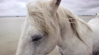 أنا لها شمس  حسين الجسمي دندنها