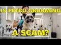 Dog s Haircut at Petco Decent Cut Deceptive Pricing