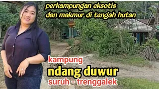 Download perkampungan terpencil dan makmur di tengah hutan desa suruh hanya di huni 7 rumah MP3