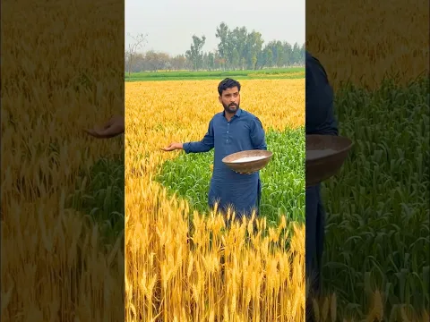 Jadui Formula😄
