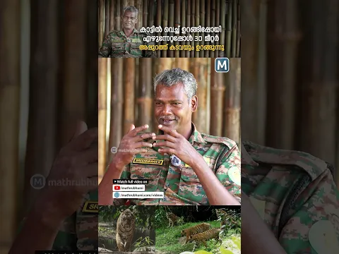 രണ്ടായിരത്തിലധികം തവണ കടുവകളെ നേരില്‍ കണ്ട, പറമ്പിക്കുളത്തിന്റെ സ്വന്തം 'ടൈഗര്‍ മാന്‍'