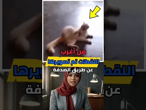 من أغرب اللقطات التي صورتها الكاميرات  !!🤯