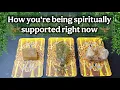 Download Lagu How the UNIVERSE is supporting YOU right now + what changes will lead to success!✨🐝🍯🍀☺️🙌 Pick a Card