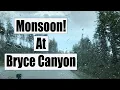 Bryce Canyon Scenic Drive Viewpoints - The WORST Rain and Hail we have ever driven through