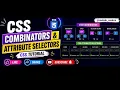 CSS Combinators Attribute Selectors CSS Tutorial