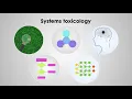 Systems Toxicology integrates toxic effects from human cells to population