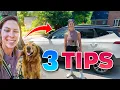 3 Tips For Starting Your Dog Walking Business
