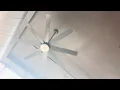 X4 Home Decorators Collection Celene 62 Ceiling Fans at Pickleman s