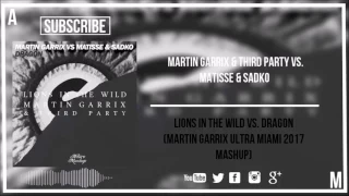 lions in the wild vs dragon martin garrix ultra miami 2017 mashup re uploaded 