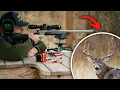 My New Favorite Deer Caliber