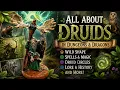 D D Druids Explained Wild Shape Magic Circles More