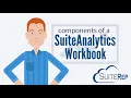 NetSuite Workbooks The Basics