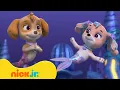 Download Lagu PAW Patrol | PAW Patrol-pups reddeneen onderwaterkasteel | Nick Jr.