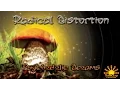Download Lagu Radical Distortion - Amorphia