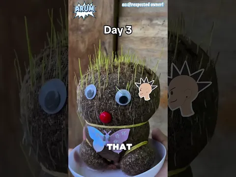 Ibu ini nekat membuat BONEKA dari PADI!😱