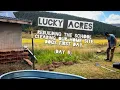 Download Lagu Lucky Acres: De school herbouwen, ons terrein opruimen, de eerste dag van de hond (dag 5)