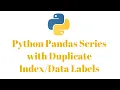 Python Pandas Series with Duplicate Data