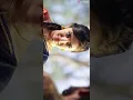 Download Lagu ( Jagnyala pankh Futale 💝😍 )New Instagram Reels | New Whatsapp Status | #marathi #shorts #youtube