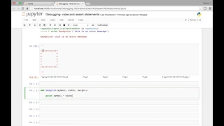 Debugging raise and assert statements