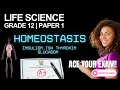Life Sciences Grade 12 Homeostasis Feedback Mechanisms Exam Revision CAPS NSC